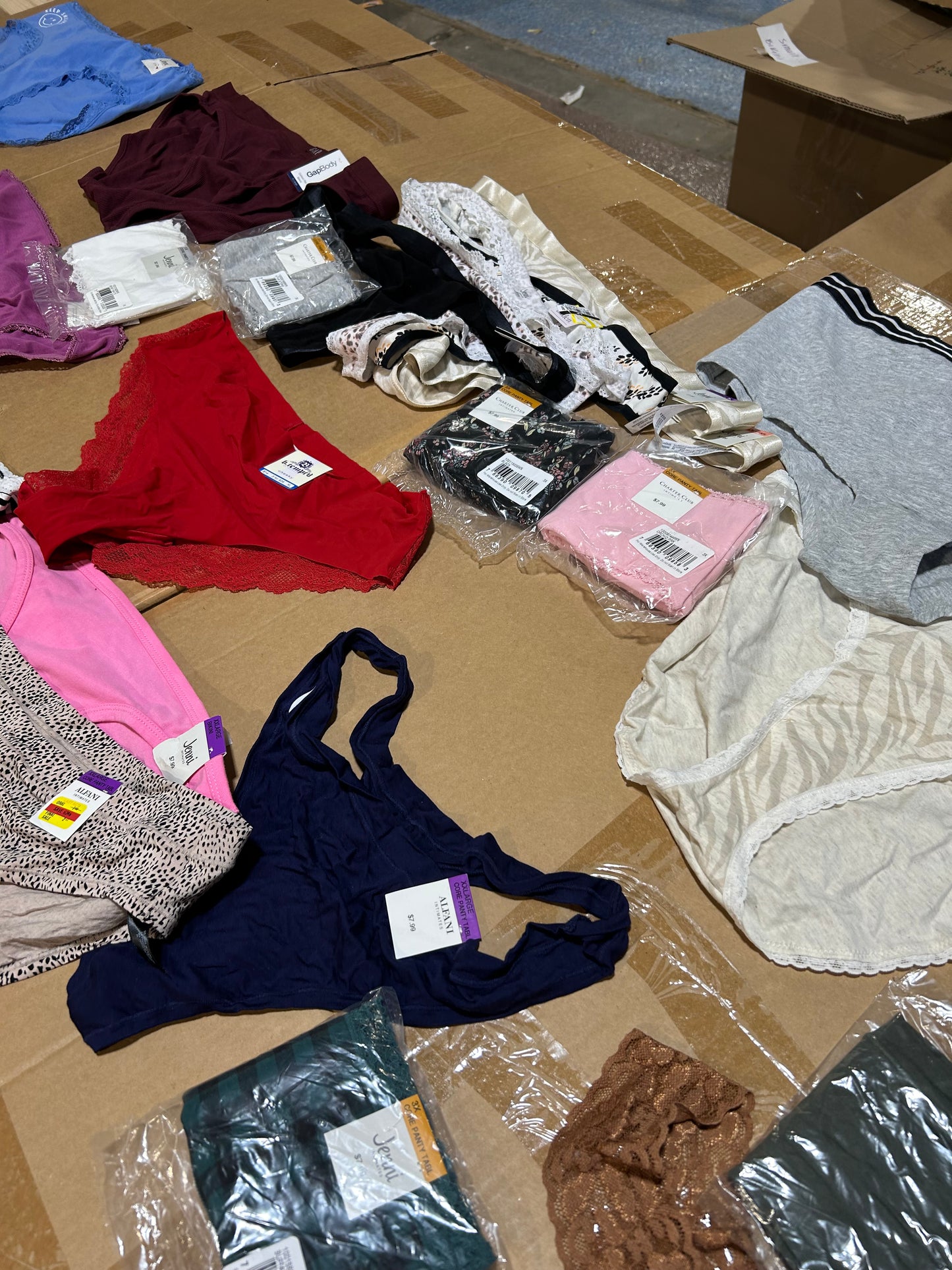 Women's Intimates 100 piece.
