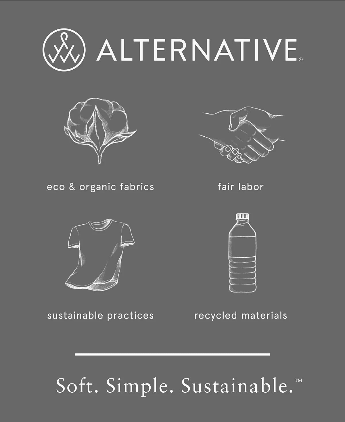 100 Piece 'Alternative Apparel' Lot - MEN